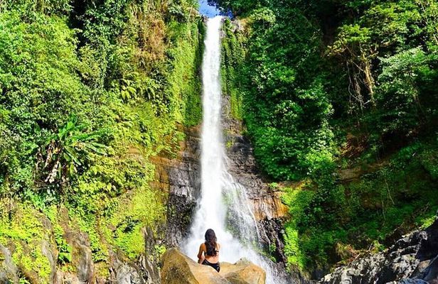 Private guided puncak day tour;Solo;Small Group