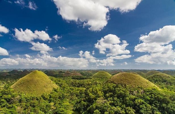 Full Day Bohol Excursion from Cebu
