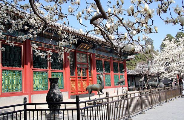 Private Walking Day Tour: Summer Palace, Heaven Temple & Hutong