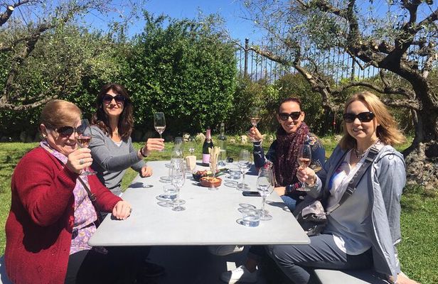Penedes and Cava Winery Small Group Tour