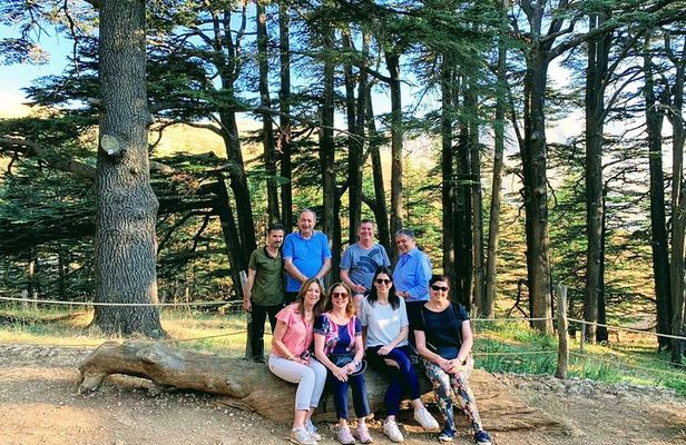 Private Trip to Qadisha Valley, Bcharri and Cedars of God