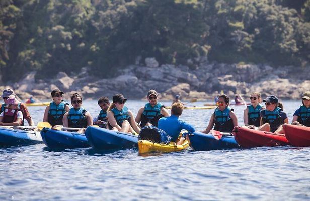 Afternoon Kayaking in Dubrovnik