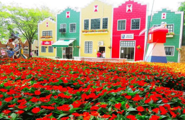 Holambra: Flowers & Windmill, The Little Piece Of Netherlands in Brazil