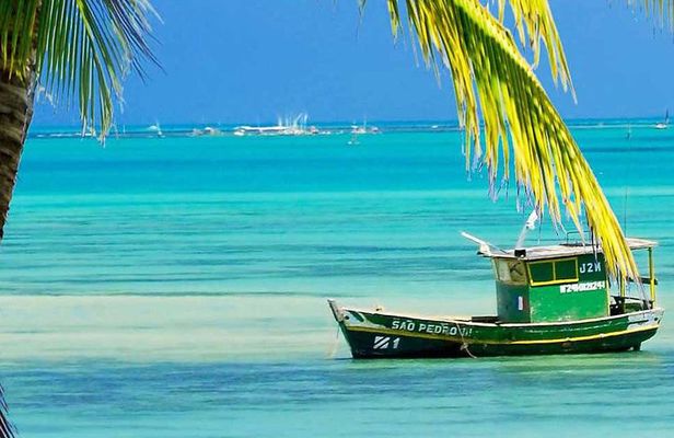 4-Days Experience at Salvador de Bahia, Savour the cultural fusion - Brasil