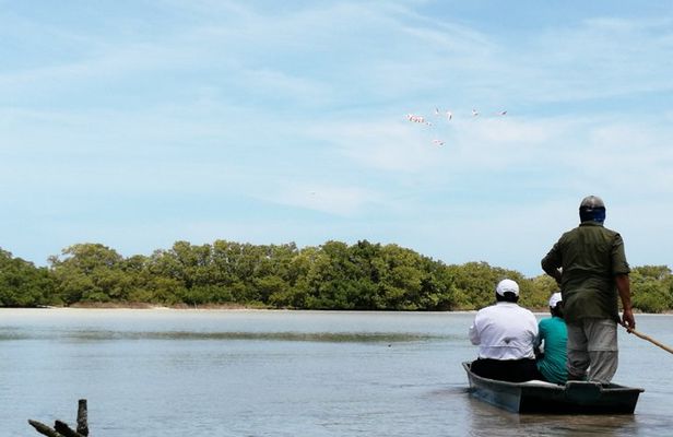 Private tour at Sisal Beach