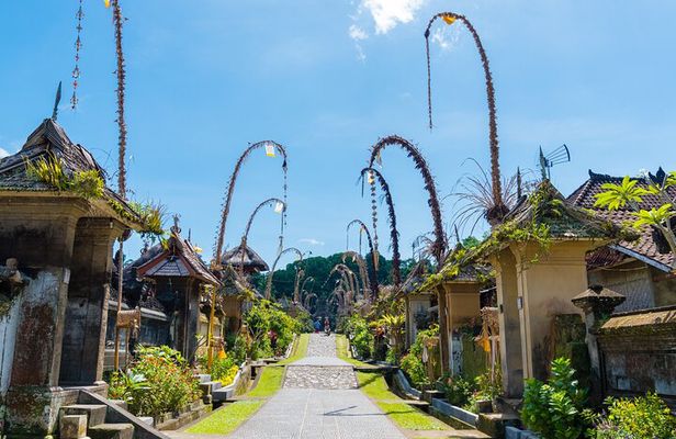 Private Experience: Bali Village Tour