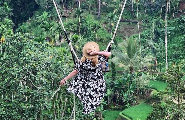 Ubud Tour - Best Of Ubud With Jungle swing - All Inclusive