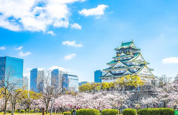 Osaka Private Day Trip - Enjoy Your First-Time Visit to Osaka!