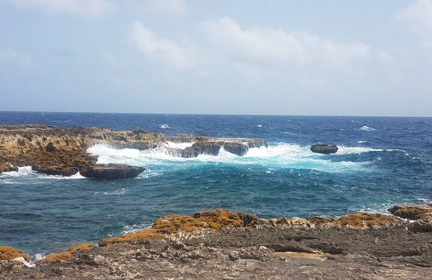 Best of Bonaire - Full island tour with a local.