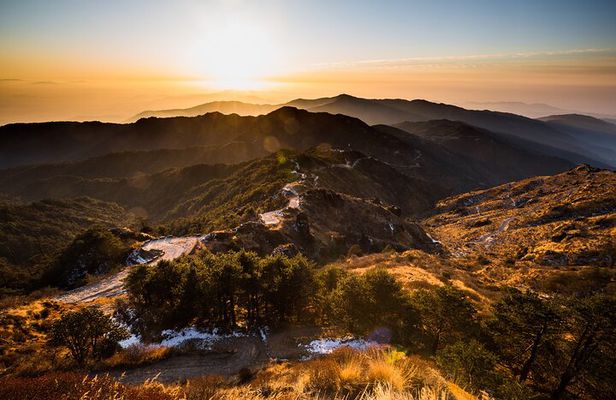 Day Trip to Singalila (Guided Private Sightseeing Experience from Darjeeling)
