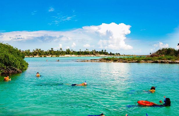 Riviera Maya Snorkeling Adventure: Lagoon, Cenotes Open & Cavern