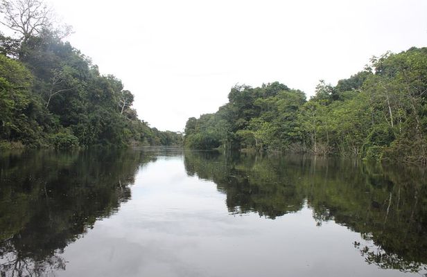 Pacaya Samiria National Park Full Day Tour