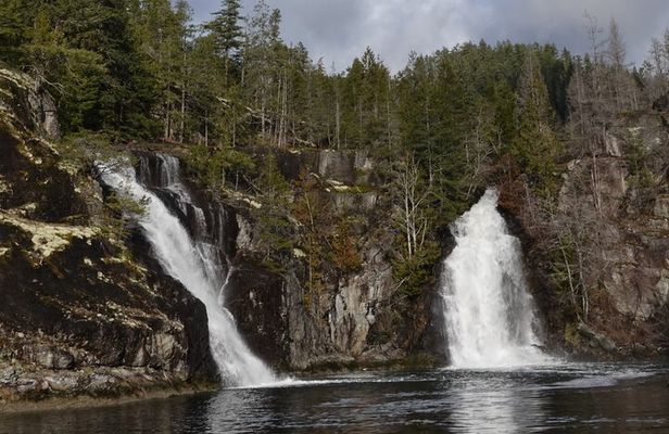 Spring Bear and Waterfall Tour