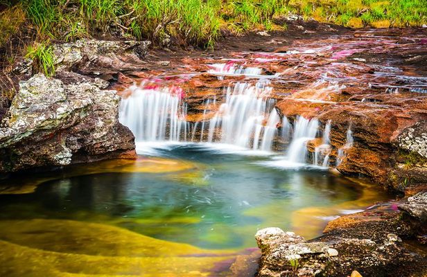 3-Day Trip to Caño Cristales (the River of Many Colors)