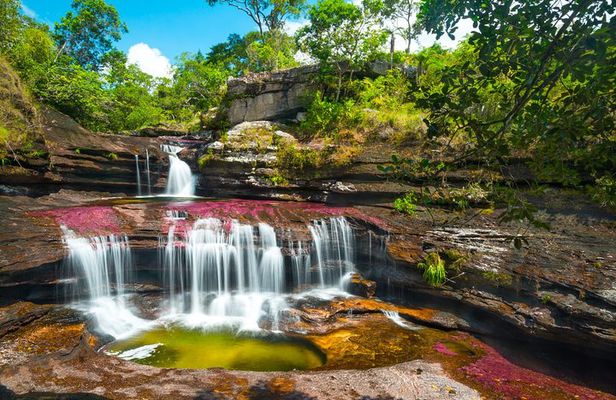 4-Day Trip to Caño Cristales (the River of Many Colors) and the Jungle