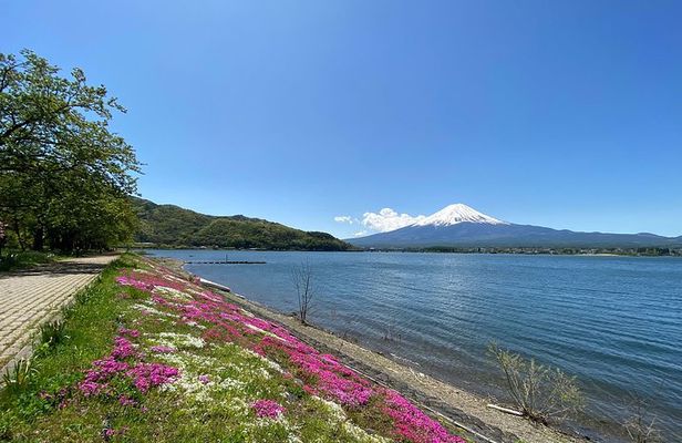 Mt Fuji Half-Day Tour By Car