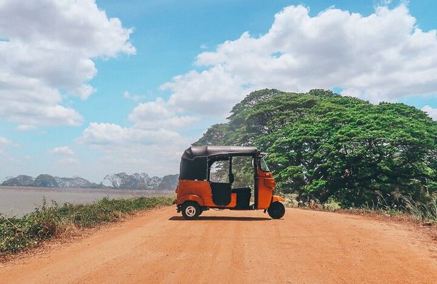 Bentota Tuk Tuk Safari