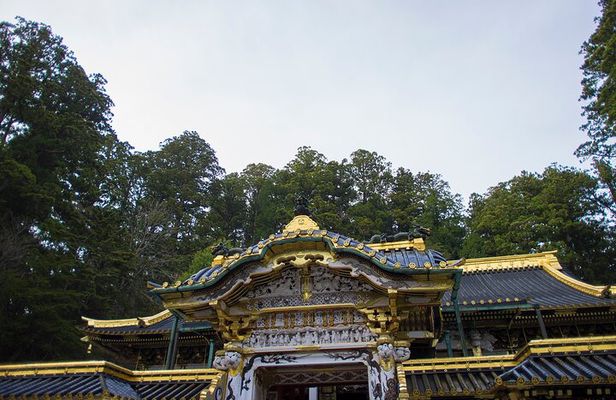 From Tokyo: Nikko Full Day Private Tour by Private Vehicle