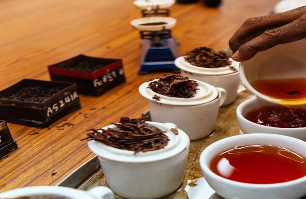 Ceylon Tea Tasting from Nuwara Eliya