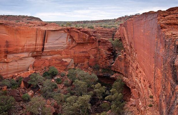 Uluru, Kata Tjuta and Kings Canyon Camping Safari from Ayers Rock