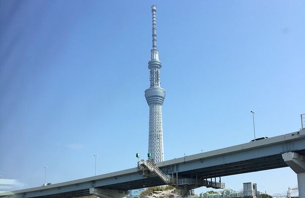 6-Hour-Tour Tokyo Highlights