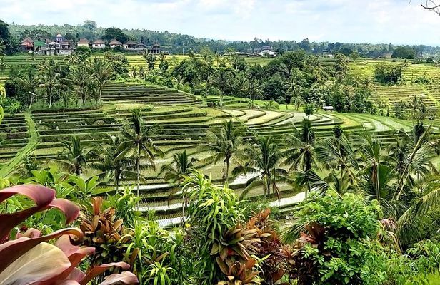 Tanah Lot and Jatiluwih Unesco Rice Terrace Private Tour