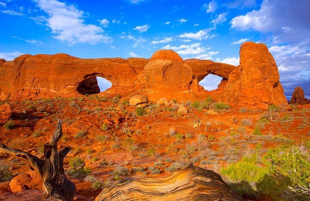 Discover The Best Of Moab In A Day: Arches Canyonlands Dead Horse