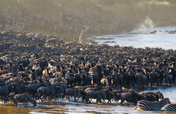 3 days Masai Mara National Reserve Shared Safari