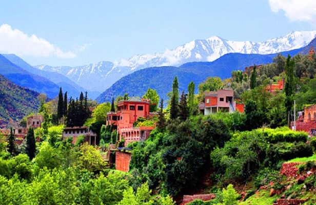 Marrakech: Atlas Mountains and 4 Valleys Tour