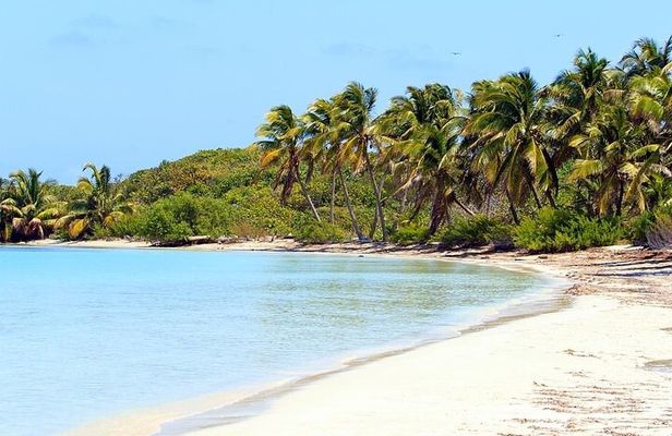 Explore Contoy Island