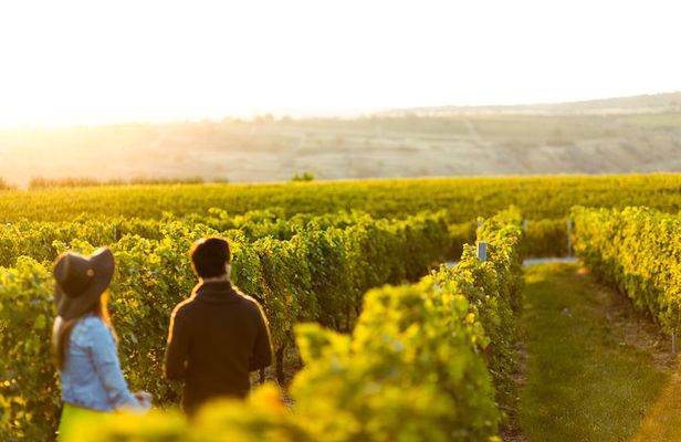 Margaret River Private Tour