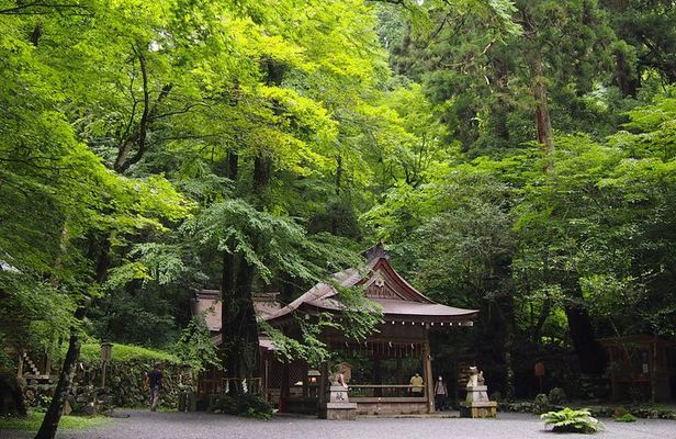 1 Day Hiking Tour in the Mountains of Kyoto