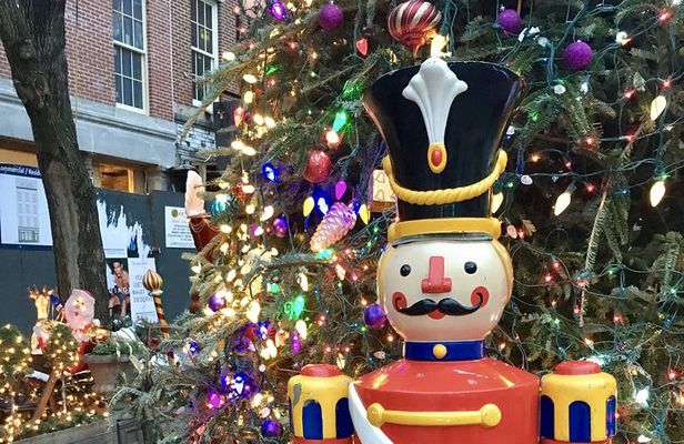 Private New York Christmas Tour with Driver and Guide