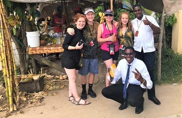 Montego Bay Private and Customized Highlights Day Tour