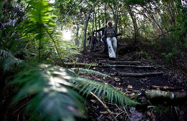 3-Day Private Hiking Trail in The Overberg