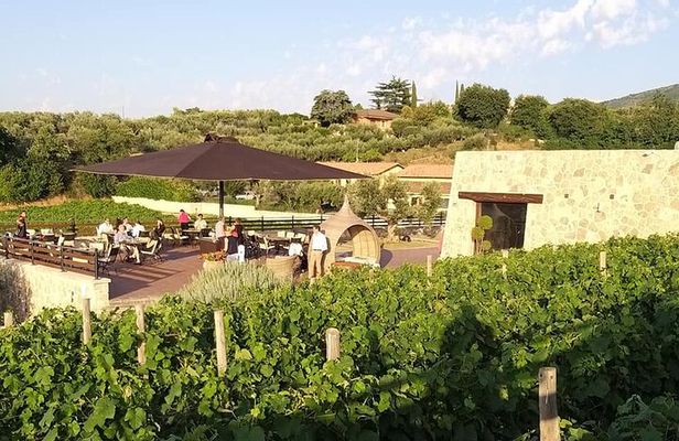 Small-Group Exclusive Winery and Wine Tasting Tour in Frascati