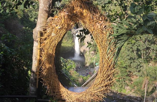 Ubud Day Tour - Top Things to do in Ubud + Local Ubud Guide