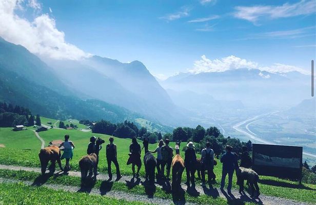 Lama hike with delicious BBQ in the middle of the forest