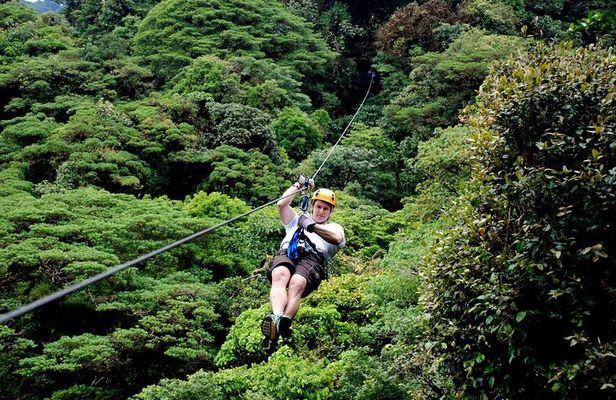 Day Trip from San Jose to Braulio Carrillo Canopy Tour