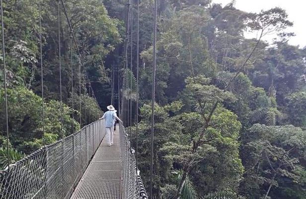 Hanging Bridges Nature History Private Walking Tour