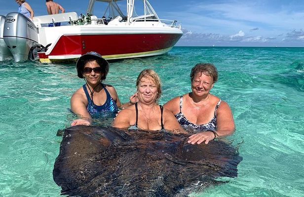 Private Half Day Stingray City, Snorkeling and Starfish Beach Tour