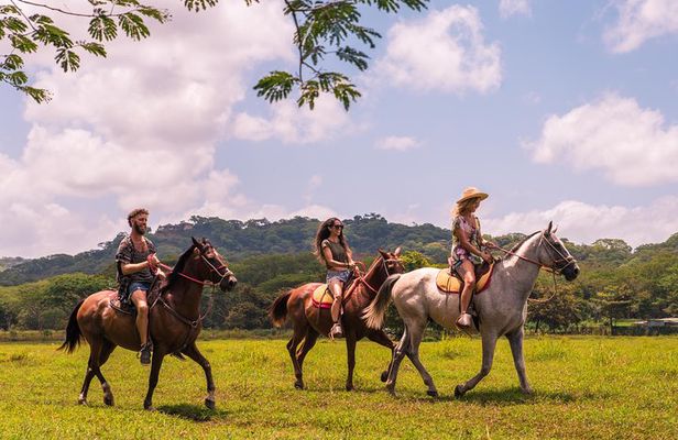 Horseback Riding to Conchal Beach from Tamarindo & Flamingo