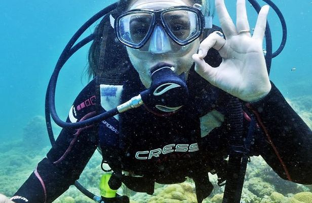 Private Program for Accredited Diver in Búzios