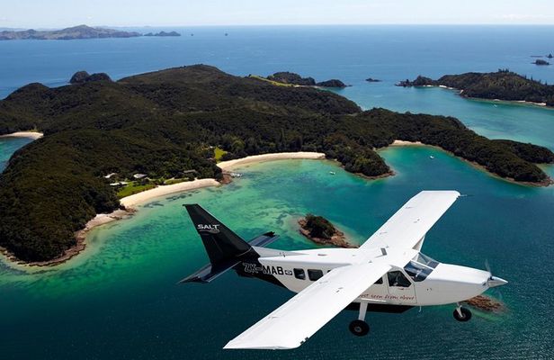 Cape Reinga Half-Day Tour Including Scenic Flight