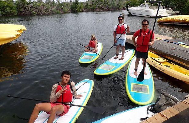 Stand Up Paddling Mangrove Lagoon Tour
