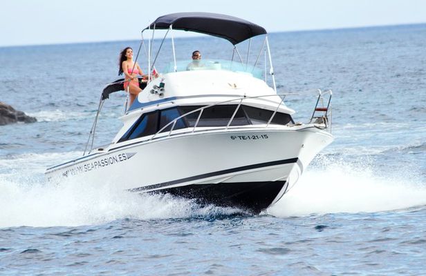 Whale and dolphin watching tour Los Gigantes and Masca in small groups