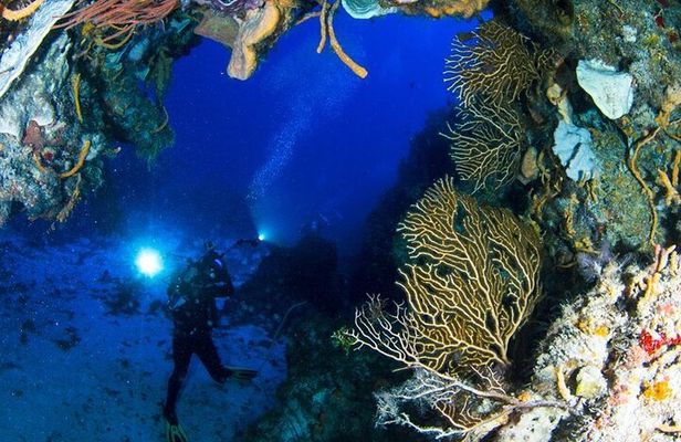 Underwater Museum & Reef Dive in Cancun