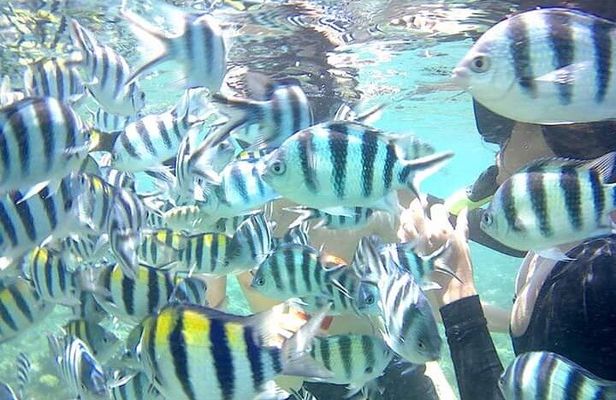 Gili Asahan Snorkeling Tour