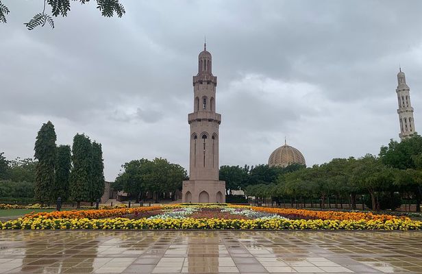 Muscat : Private morning tour in Muscat
