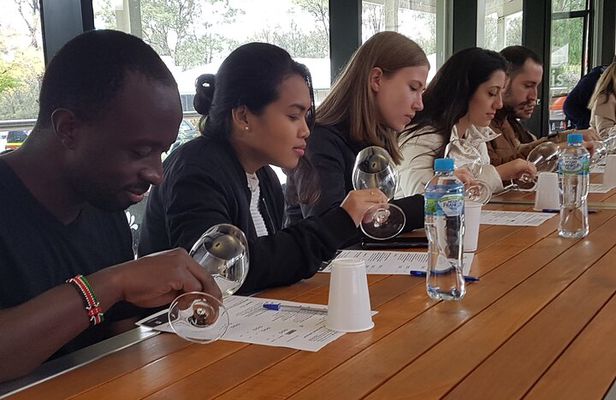 Small-Group Hunter Valley Wine Tasting Tour from Sydney